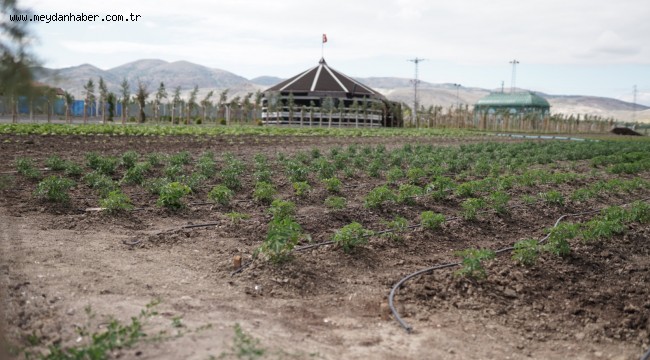 SİNCAN EKO ÇİFTLİKTE DÖNÜŞÜM, ÜRETİM VE EĞİTİM VAR