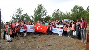 Tohumdan fidana uzanan süreci doğada öğrendiler