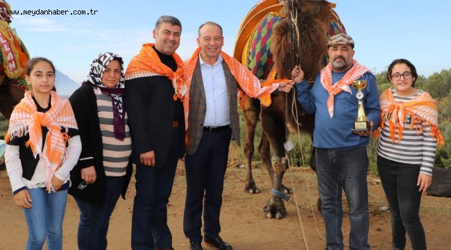 Turgutlu Belediyesi Geleneksel Deve Güreşleri'ne Hazırlanıyor