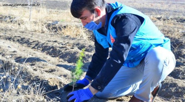 Türkiye Diyanet Vakfı tarafından, afetler sonucu kaybolan orman varlığının yeniden kazandırılması için 11 ilde 305 bin 500 fidan dikildi.