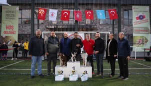 ÜMRANİYE'DE KÖPEKLERİN ŞAMPİYONLUK MÜCADELESİ