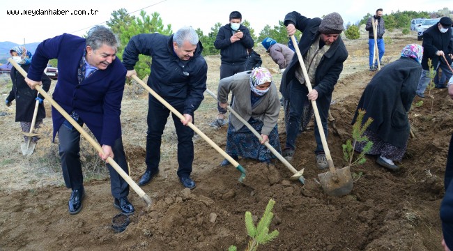 Yelek Köyünde Fidanlar Toprakla Buluşturuldu