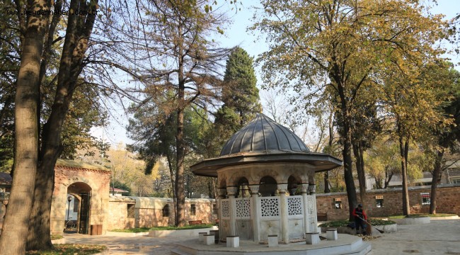 Yeni Cuma camiinde tehlike arz eden kurumuş 2 ağaç kaldırılacak