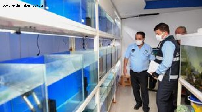 Yenişehir Belediyesi ilçedeki petshopları denetledi
