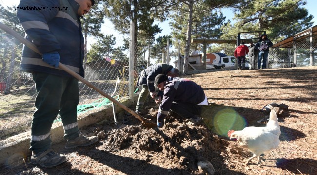 Belediye, geçici hayvan bakımevinin etrafını güzelleştiriyor