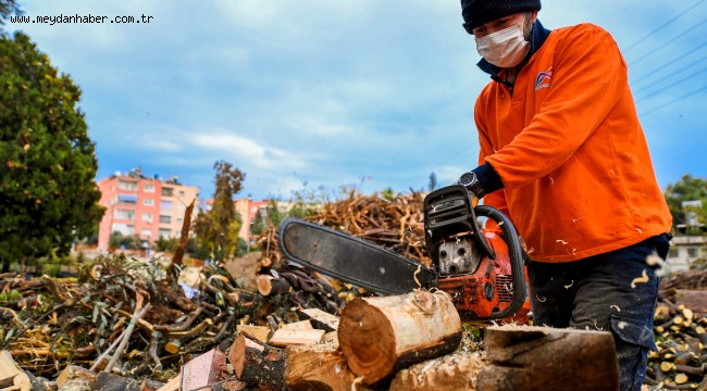 BÜYÜKŞEHİR'DEN YAŞ ALMIŞ VATANDAŞLARA YAKACAK ODUN DESTEĞİ