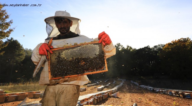 Büyükşehir Destekliyor, Arıcının Yüzü Gülüyor