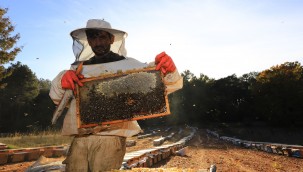Büyükşehir Destekliyor, Arıcının Yüzü Gülüyor