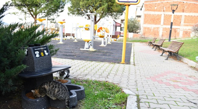 Can dostların mamaları 'patiler' sayesinde ıslanmayacak