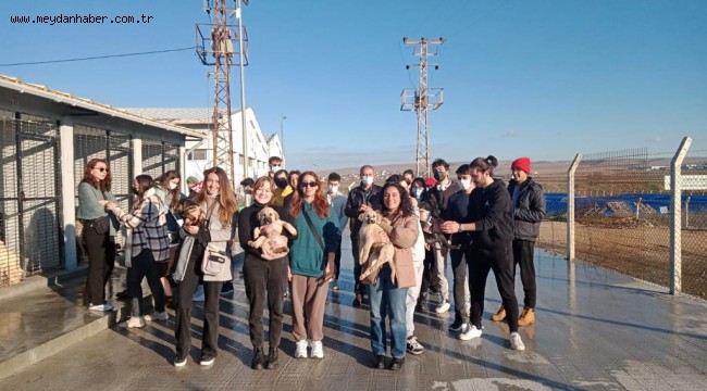 Erasmus öğrencileri Odunpazarı Belediyesi'nin Geçici Hayvan Bakımevi'ni gezdi