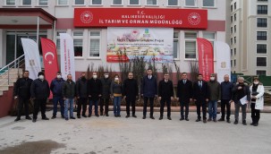 Kapama meyve bahçeleri kurulacak Üreticilere meyve fidanı desteği