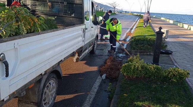 Sahillerden 100 kamyon atık toplandı