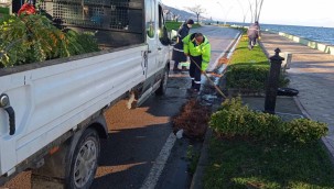 Sahillerden 100 kamyon atık toplandı