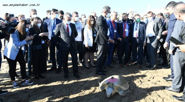 TEDAVİSİ TAMAMLANAN 2 CARETTA CARETTA DENİZE BIRAKILDI