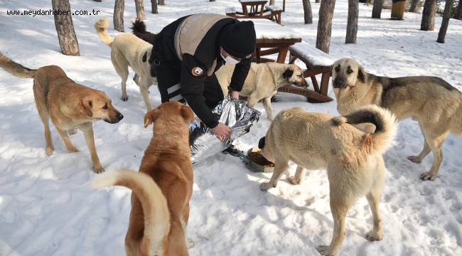 ANFA GÜVENLİK DE CAN DOSTLARA ŞEFKAT ELİNİ UZATIYOR