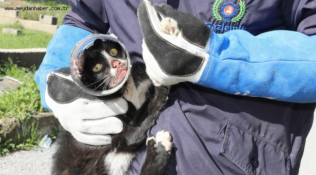 Başı sıkışan can dosta yardım eli