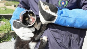 Başı sıkışan can dosta yardım eli