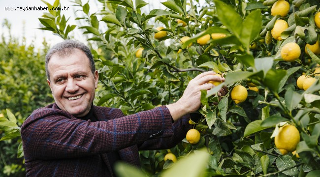 BAŞKAN SEÇER, NARENCİYE PAKETLEME TESİSİNİ GEZDİ, EMEKÇİ KADINLARLA