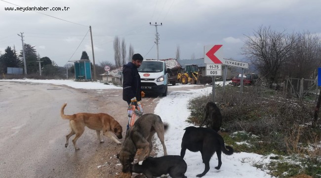 BİLECİK BELEDİYESİNDEN SOĞUK GÜNLERDE İÇİNİZİ ISITACAK ÇALIŞMA