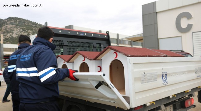 BODRUM BELEDİYESİ VE STK'LERDEN SOKAK HAYVANLARI İÇİN ORTAK PROJE