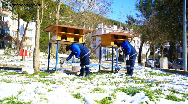 Büyükşehir Sokak Hayvanlarının Yanında