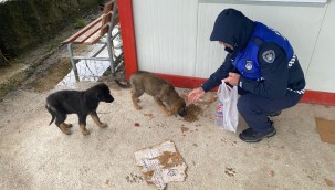 Büyükşehir Zabıtası herkese yardım elini uzattı