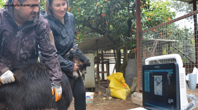 Hayatımda Güzel Bir Kapı Aralandı