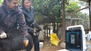 Hayatımda Güzel Bir Kapı Aralandı