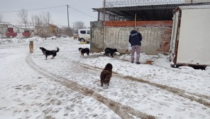 Keşan Belediyesi olumsuz hava koşullarında da can dostların yanında oldu