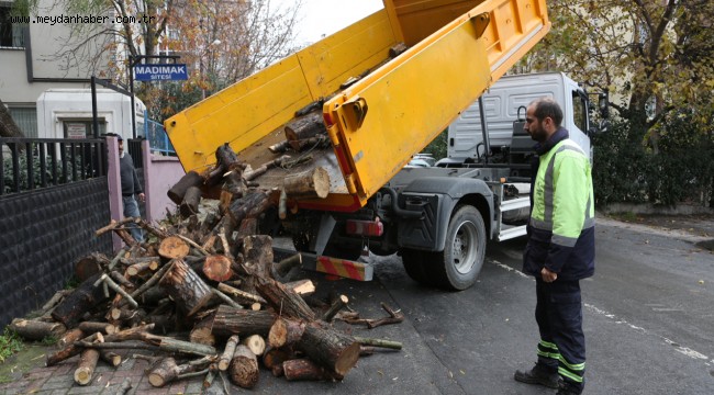 KÜÇÜKÇEKMECE'DE BUDANAN AĞAÇ DALLARI EVLERİ ISITIYOR