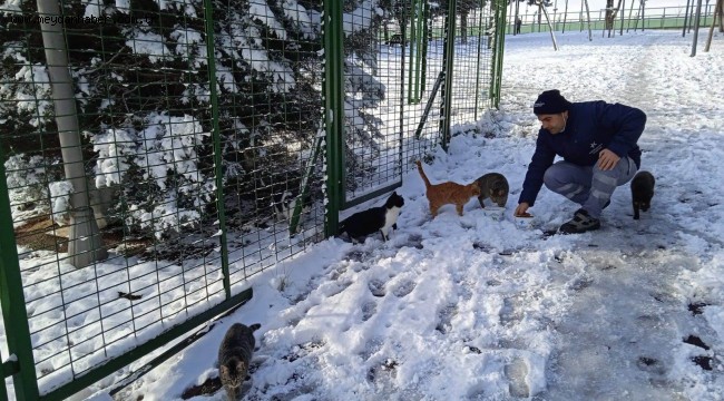 KÜÇÜKÇEKMECE'DE CAN DOSTLAR AÇ KALMIYOR