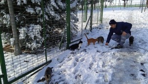 KÜÇÜKÇEKMECE'DE CAN DOSTLAR AÇ KALMIYOR