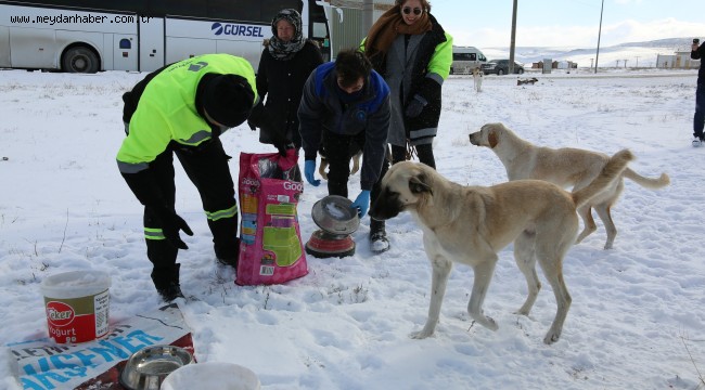Odunpazarı Belediyesi can dostlarımızı unutmadı