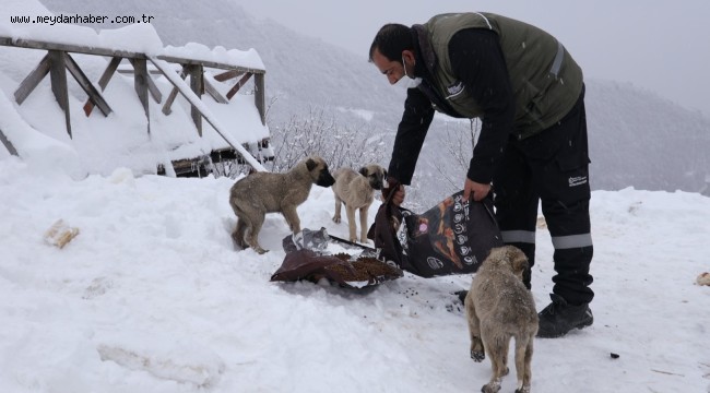 Patili dostlarımızı ellerimizle besliyoruz