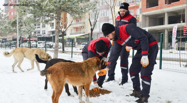 UŞAK BELEDİYESİ EKİPLERİNDEN KARLA MÜCADELE SEFERBERLİĞİ