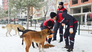 UŞAK BELEDİYESİ EKİPLERİNDEN KARLA MÜCADELE SEFERBERLİĞİ