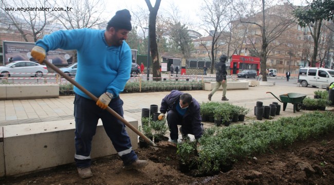 Yeni Yürüyüş Yolu yazın lavanta kokacak