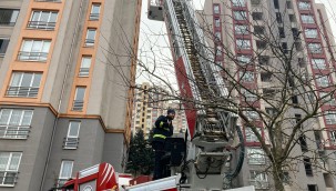 Ağaçta mahsur kalan kediyi itfaiye kurtardı