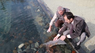 BİYOLOJİK EXPO GÖLETİ YAVRU BALIKLARI İLE İKİNCİ KEZ BULUŞTU