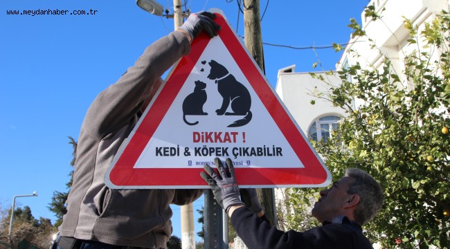 BODRUM BELEDİYESİ'NDEN CANLAR İÇİN TABELA