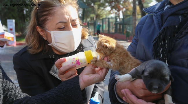 BÜYÜKŞEHİR'DEN CAN DOSTLAR İÇİN YENİ TESİS