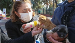BÜYÜKŞEHİR'DEN CAN DOSTLAR İÇİN YENİ TESİS
