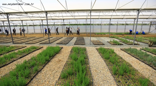 Büyükşehir Yağmur Hasadıyla Yılda 300 Ton Su Tasarrufu Sağlıyor