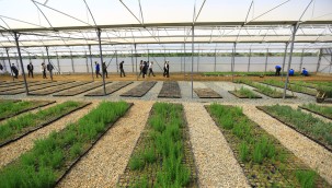 Büyükşehir Yağmur Hasadıyla Yılda 300 Ton Su Tasarrufu Sağlıyor