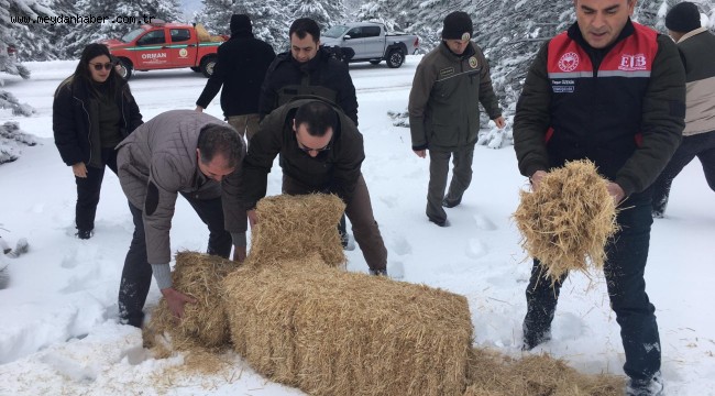 Yaban hayvanları unutulmadı