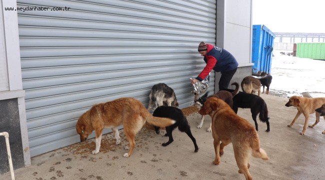 BAŞKAN ÖZLÜ'DEN EKİPLERE TEŞEKKÜR