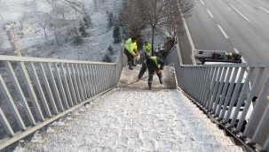 Büyükşehir'den tuzlama ve solüsyon çalışması