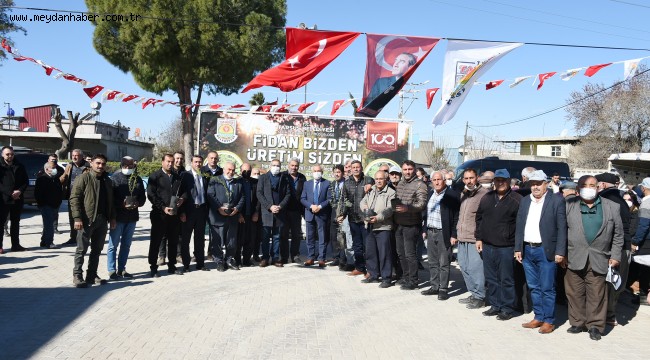 ÇUKUROVA TOPRAKLARINDA ATA VE YERLİ TOHUM FİDANLARI YEŞERİYOR  