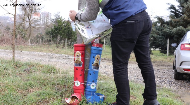 DÜZCE BELEDİYESİ SOKAK HAYVANLARININ YANINDA