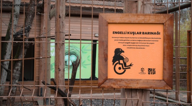 Engelli kuşlar Ormanya'nın ömür boyu misafiri